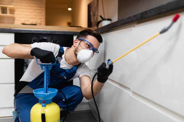 Best Insect Control  in East Alton, IL