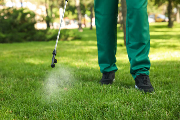 Best Affordable Pest Control Services  in East Alton, IL