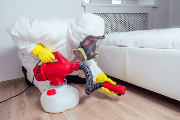 Best Termite Control Services  in East Alton, IL