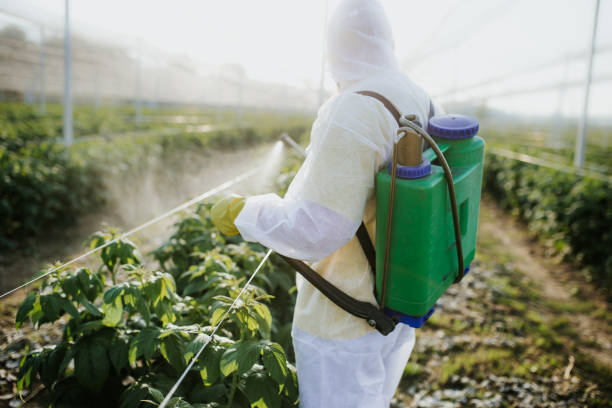 Reliable East Alton, IL Pest Control Solutions